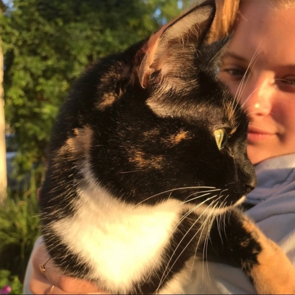 meet kat + olly